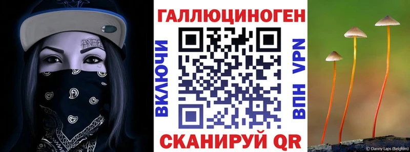 Псилоцибиновые грибы ЛСД  Нерчинск 